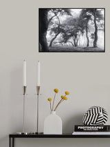 Dancing Trees Poster och Canvastavla