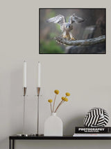 Landing....... Poster och Canvastavla
