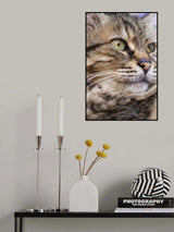 cute cat Poster och Canvastavla