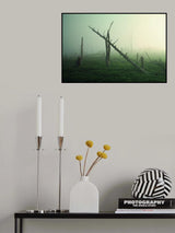 Beautiful Rot Poster och Canvastavla