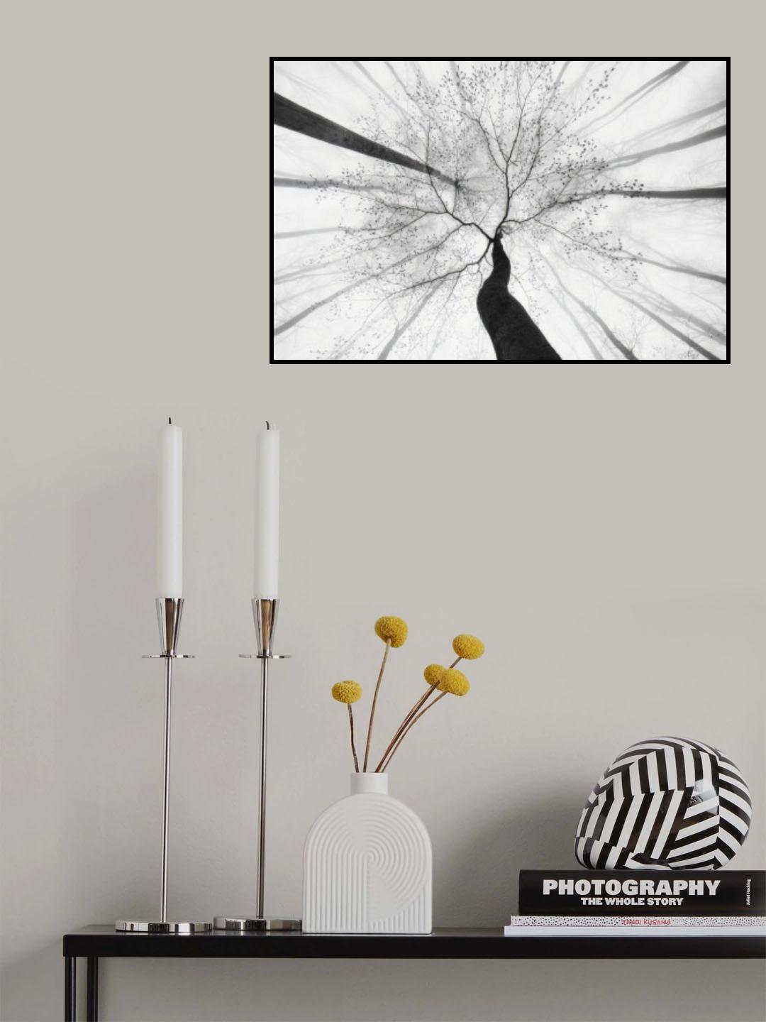Spring visit to the forest Poster och Canvastavla