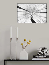 Spring visit to the forest Poster och Canvastavla