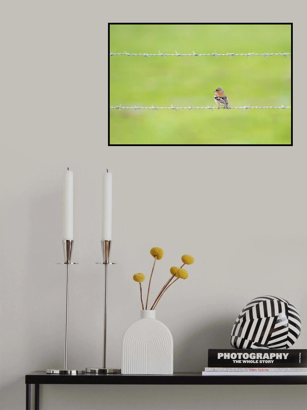 Beautiful song Poster och Canvastavla
