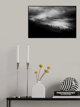 Forest Poster och Canvastavla