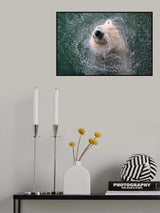 FRESHNESS FOR HOT SUMMER DAYS Poster och Canvastavla
