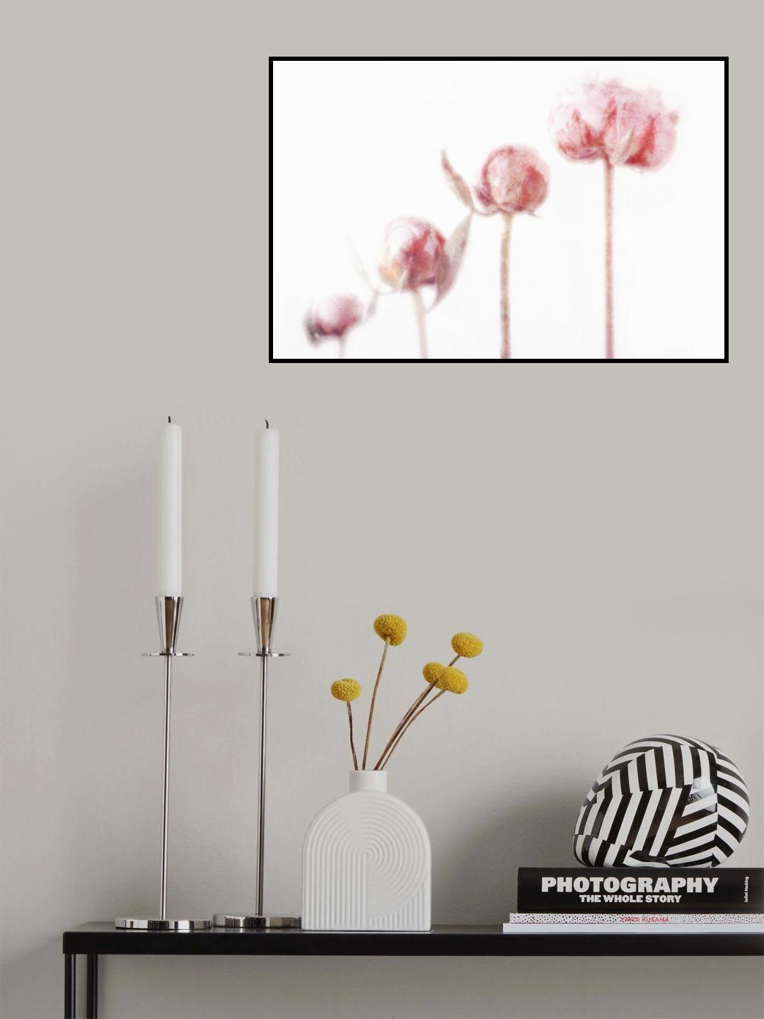 4 Peonies Poster och Canvastavla