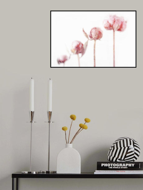 4 Peonies Poster och Canvastavla