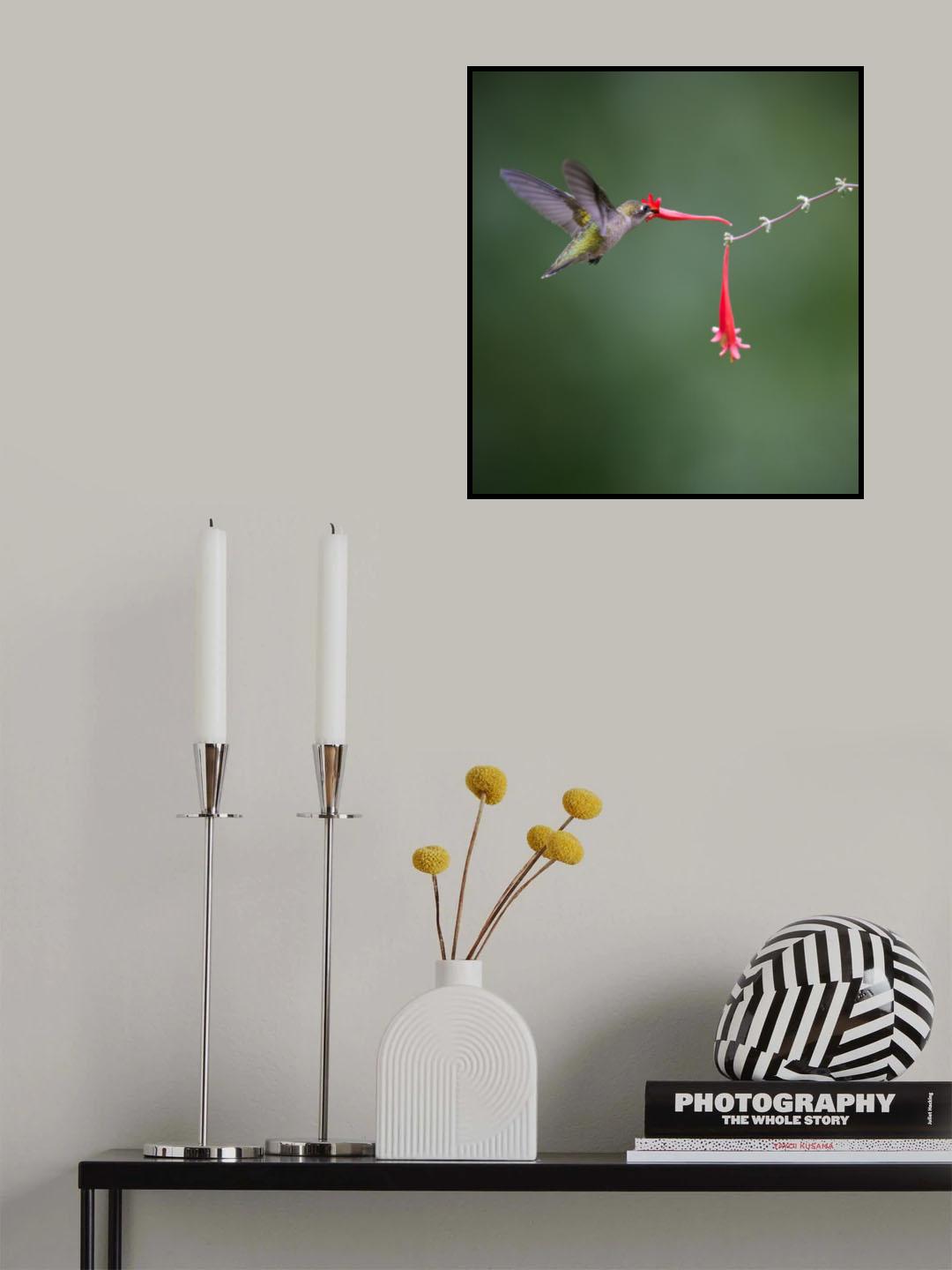Woops! Poster och Canvastavla