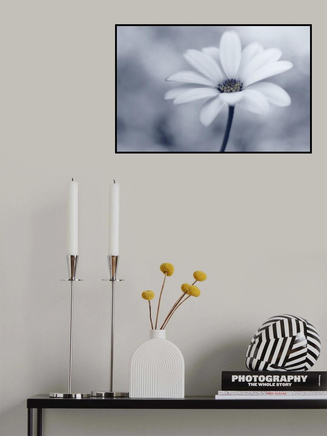 Blue tones Poster och Canvastavla