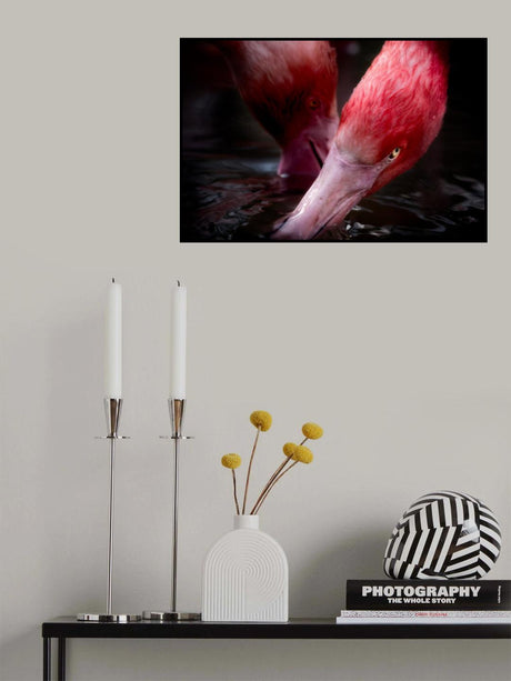 Drinking water Poster och Canvastavla