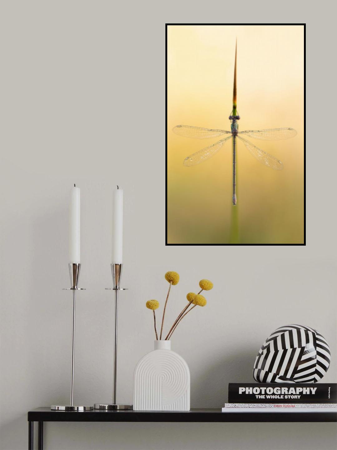 Pure beauty Poster och Canvastavla