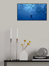 Into the school Poster och Canvastavla