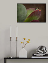 Hanging Out Poster och Canvastavla