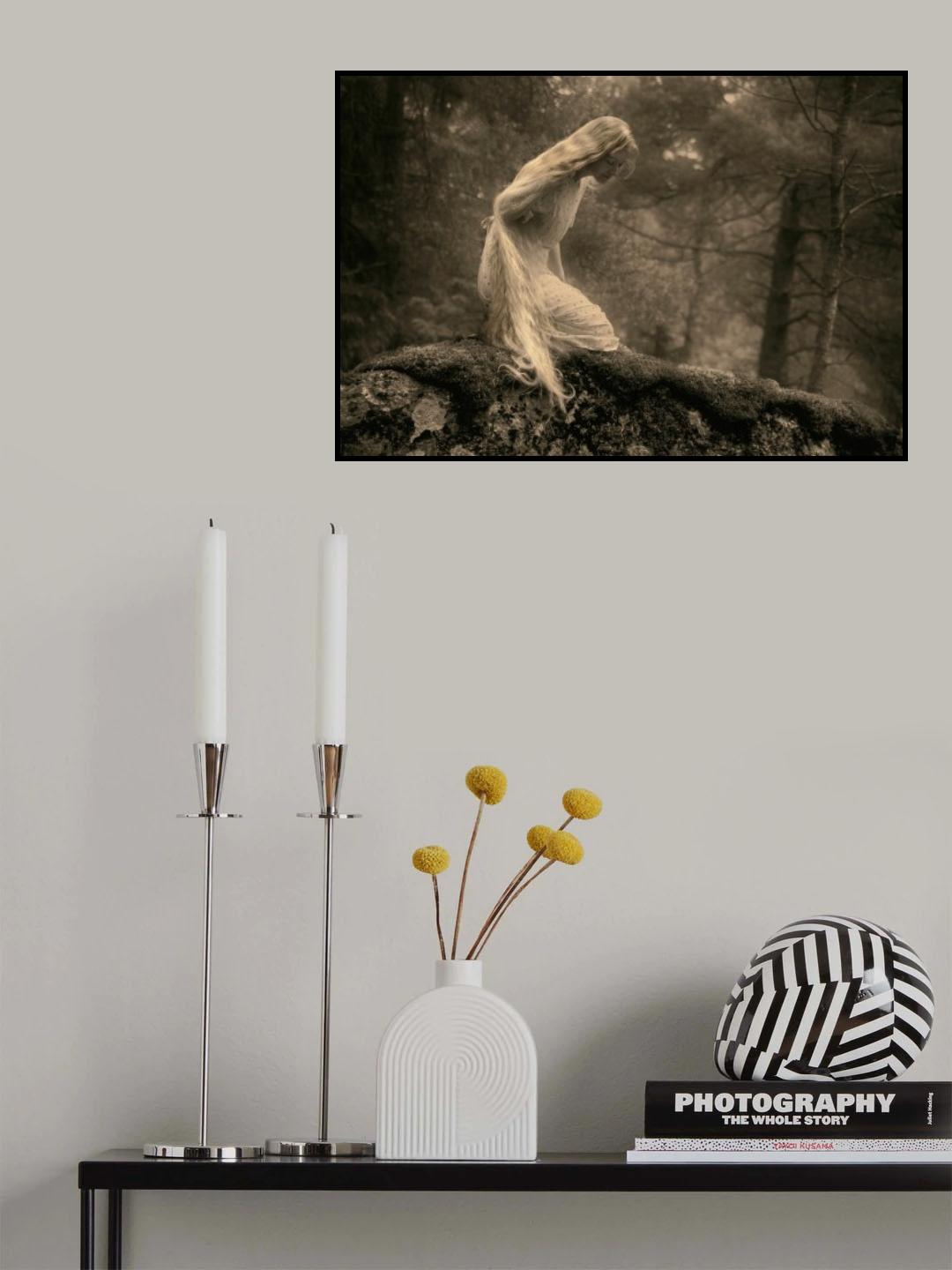 On a stone in the forest. Poster och Canvastavla