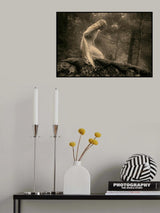 On a stone in the forest. Poster och Canvastavla