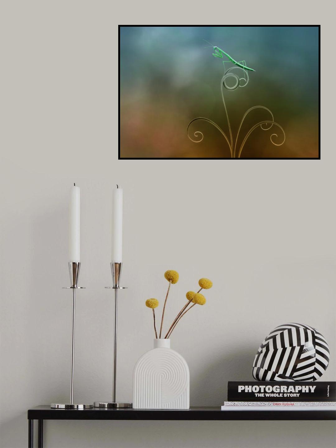 Praying Mantis Poster och Canvastavla
