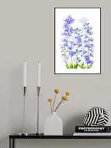 Delphinium Poster och Canvastavla