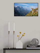 Alpine Ibex in the mountains Poster och Canvastavla
