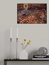 Life at Brickfield Poster och Canvastavla