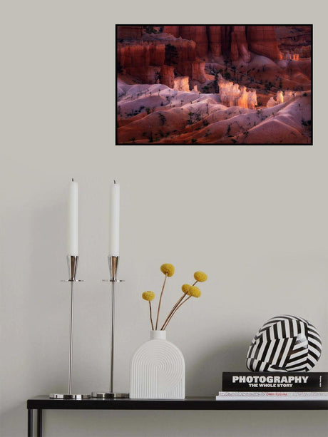 Canyon Light Poster och Canvastavla