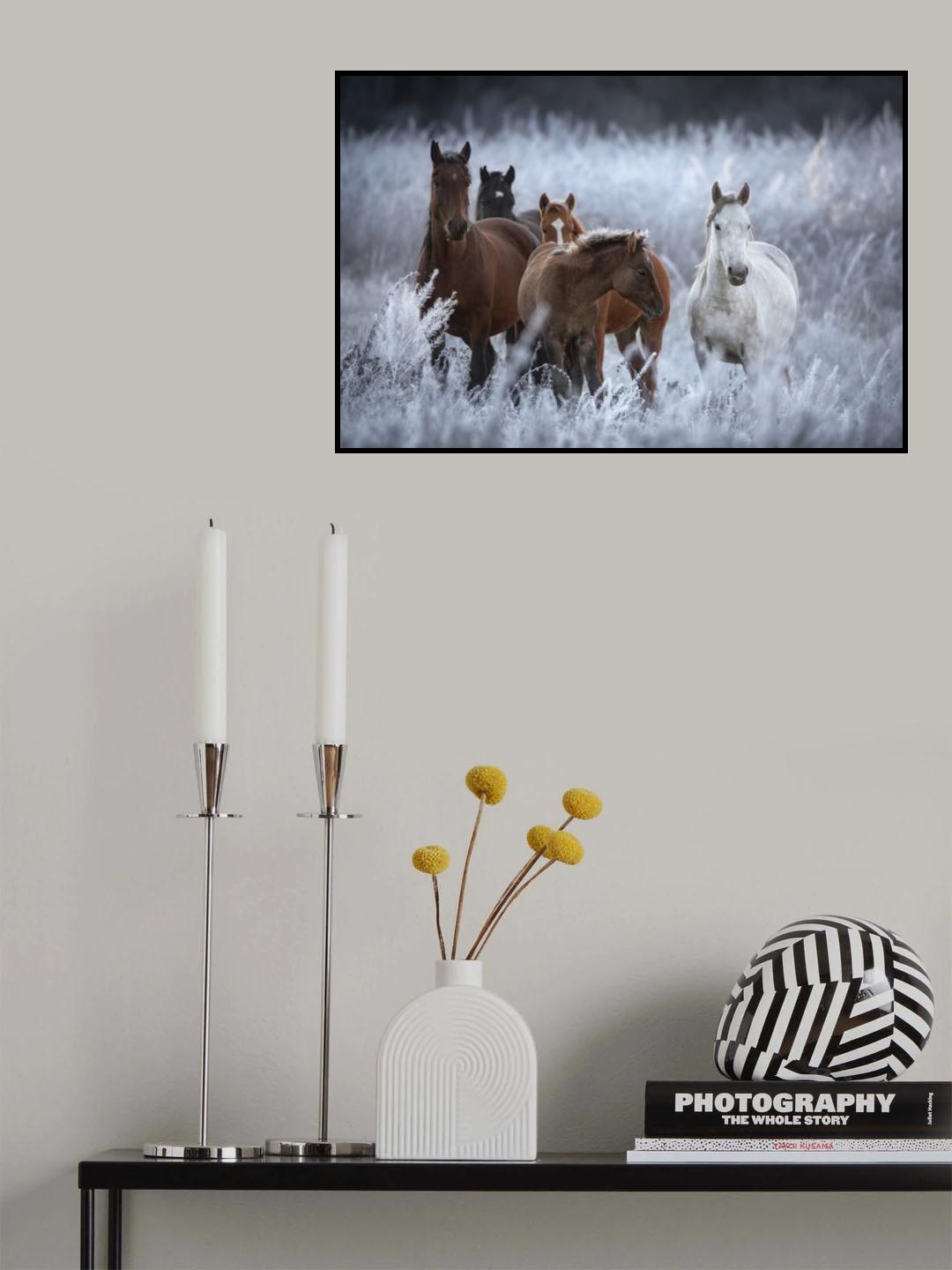 One frosty morning.. Poster och Canvastavla