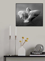 The Pelican Poster och Canvastavla