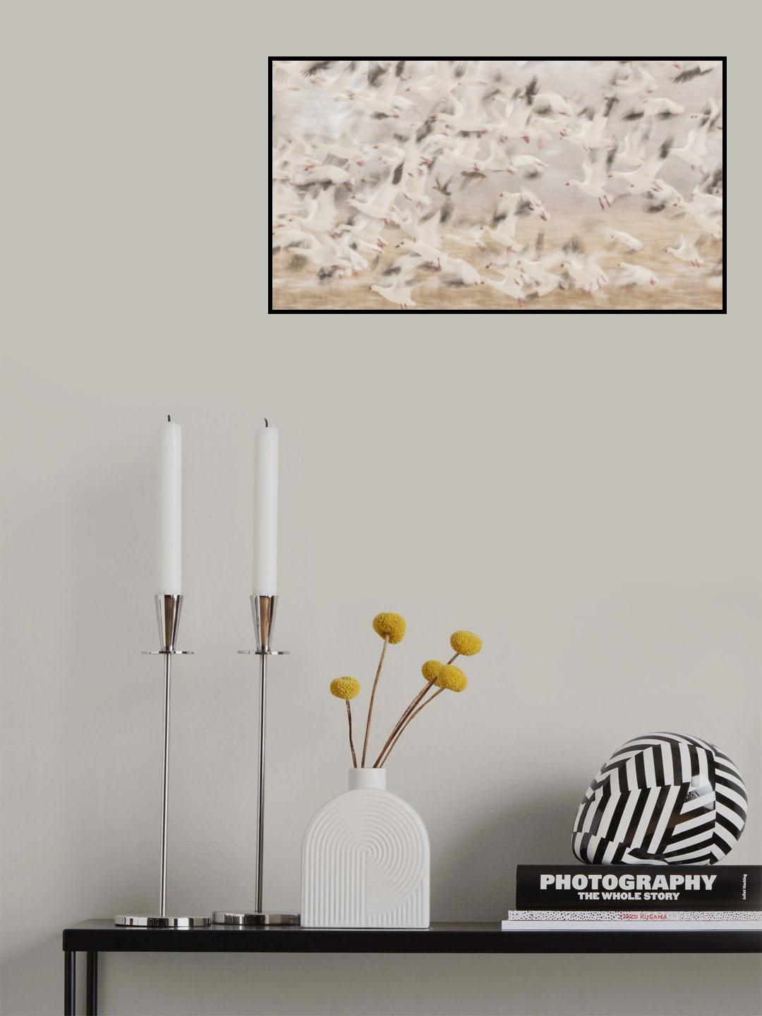 Birds Poster och Canvastavla