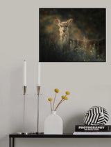Gazing Poster och Canvastavla