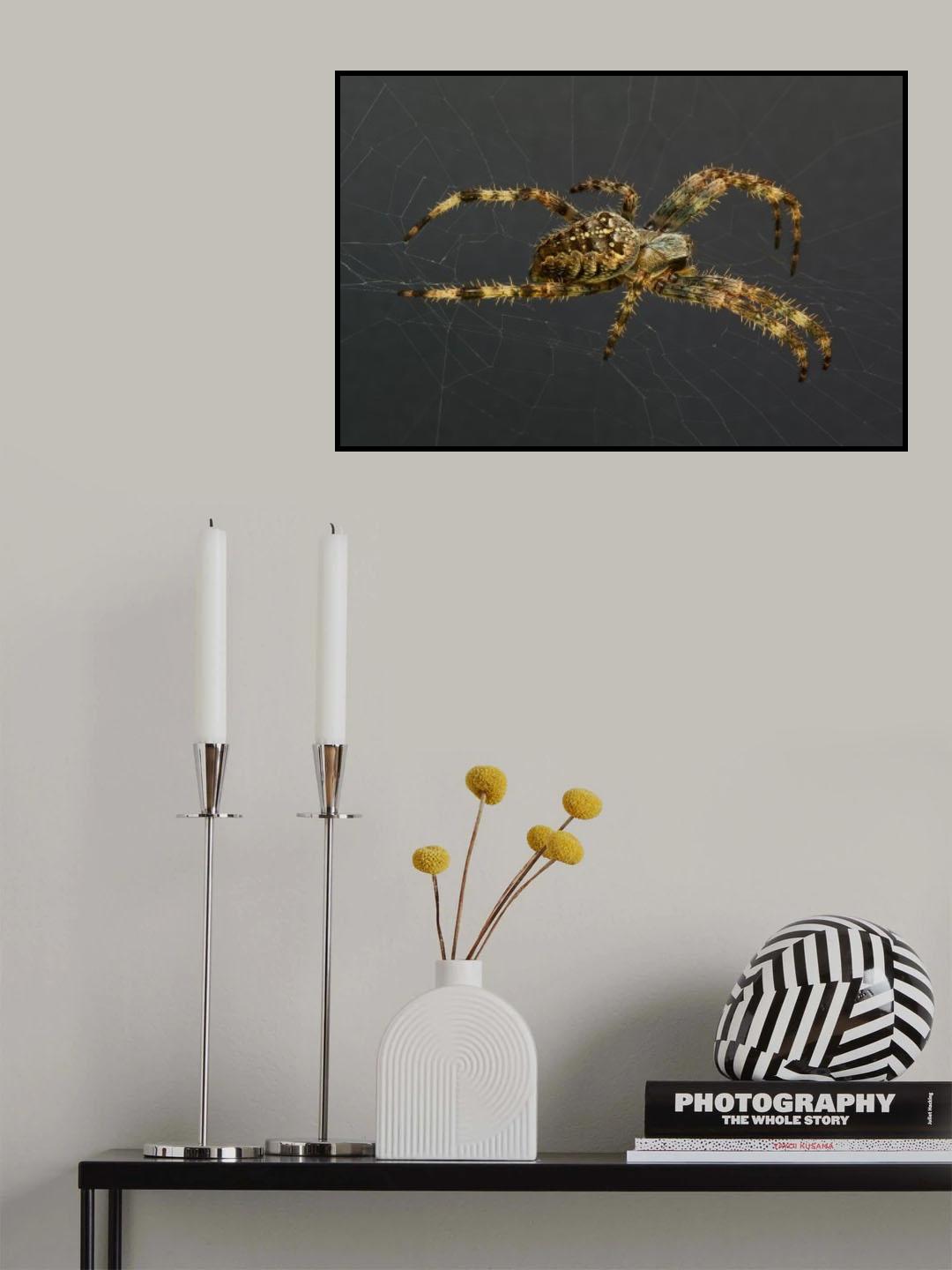 Spider Poster och Canvastavla