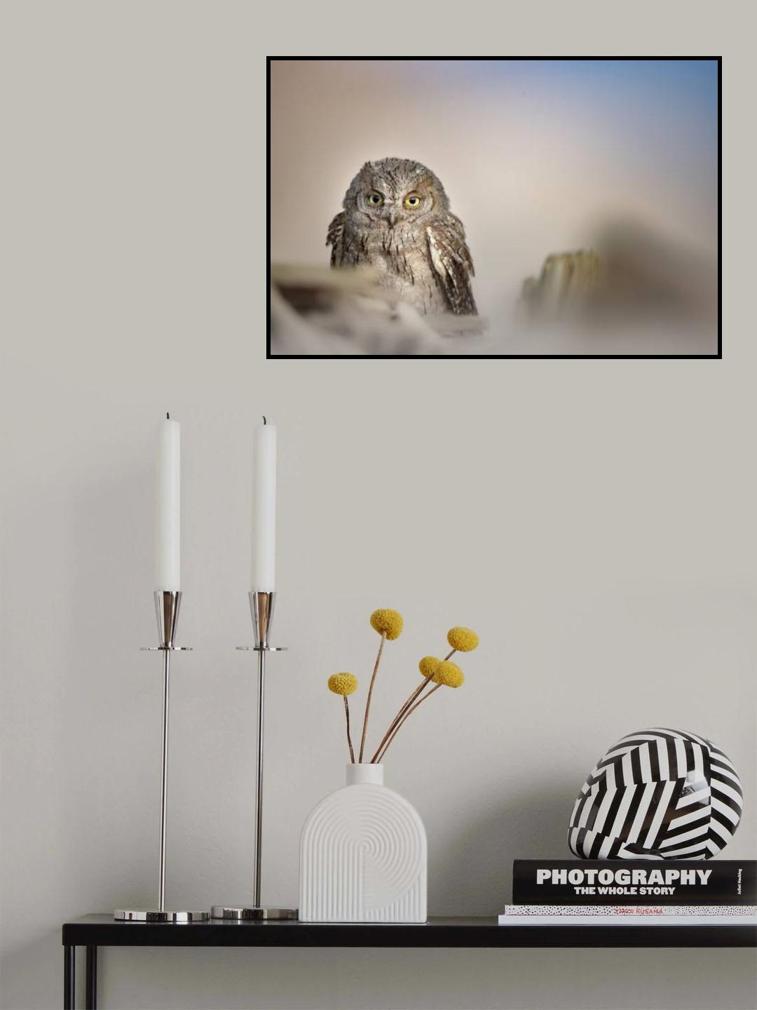 Eurasian Owl Poster och Canvastavla