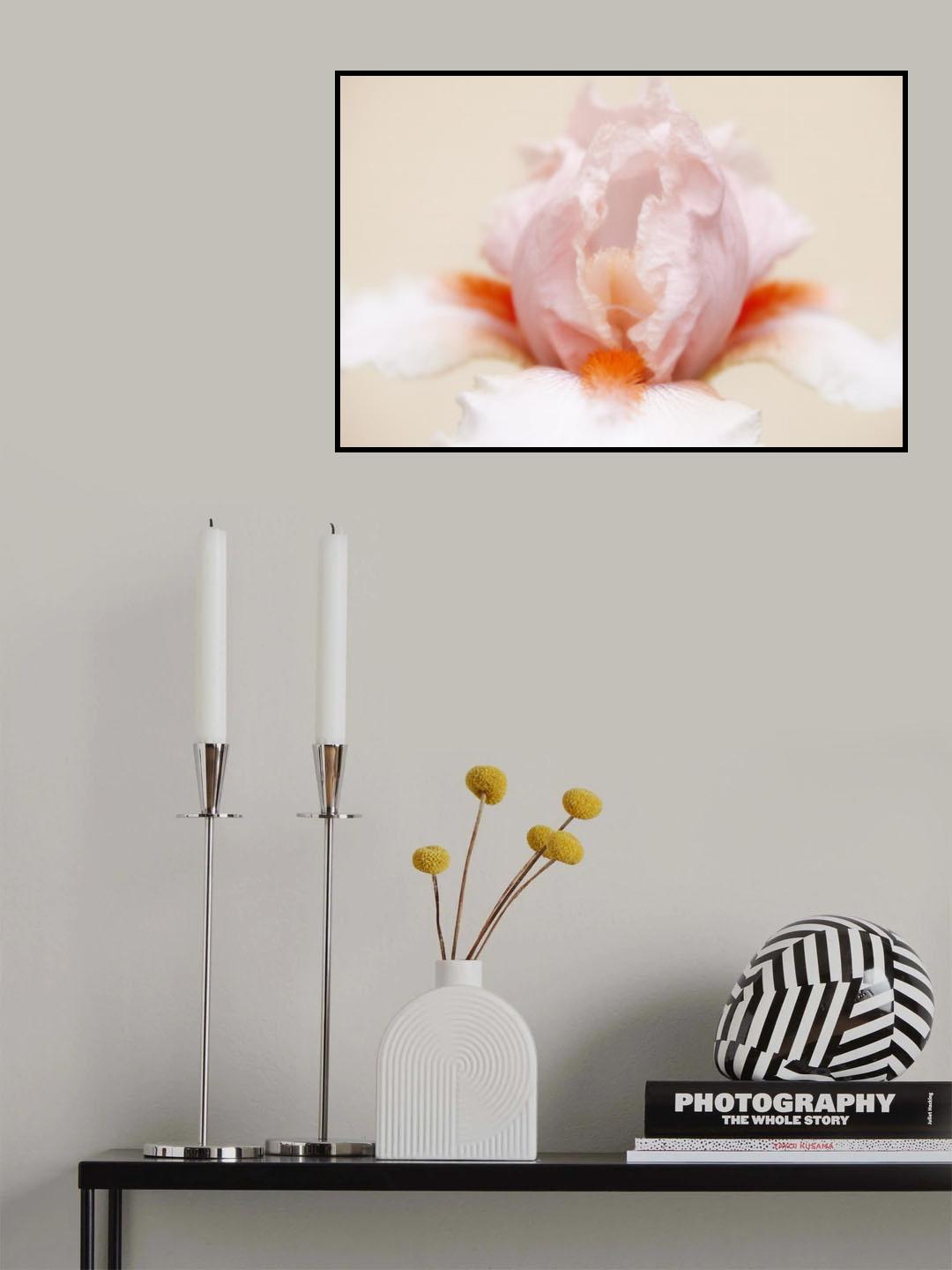 Iris Poster och Canvastavla