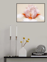 Iris Poster och Canvastavla