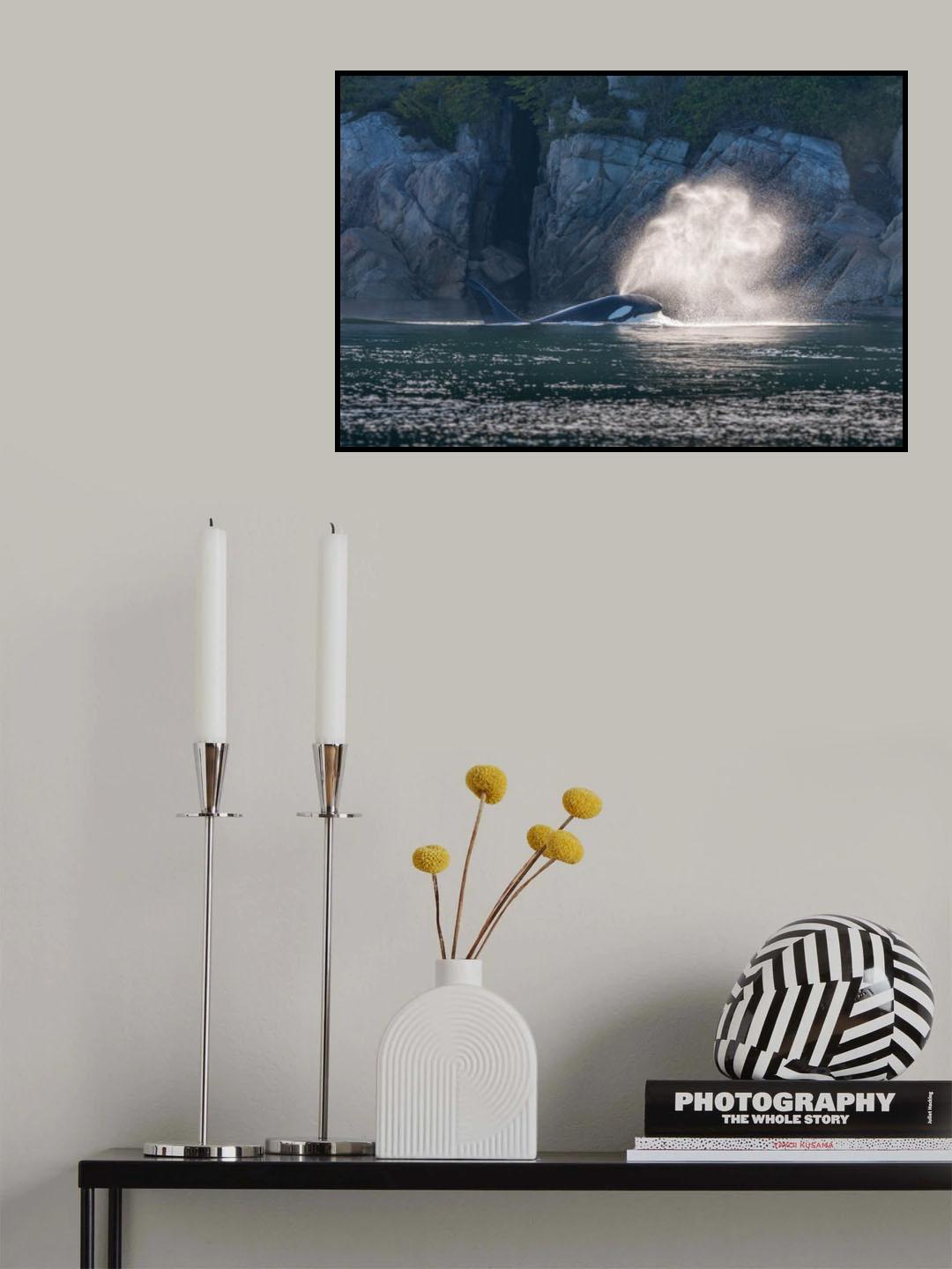 Thar she blows.... Poster och Canvastavla