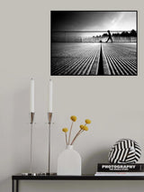 " The Point " Poster och Canvastavla