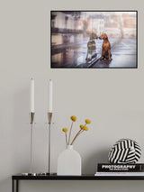 Havannah in the city Poster och Canvastavla