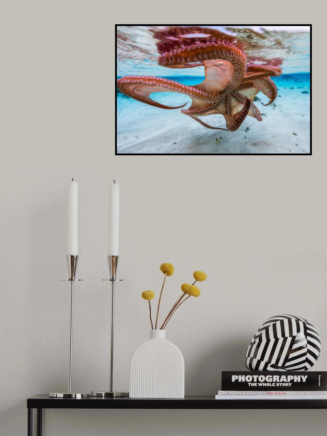 The octopus underside Poster och Canvastavla