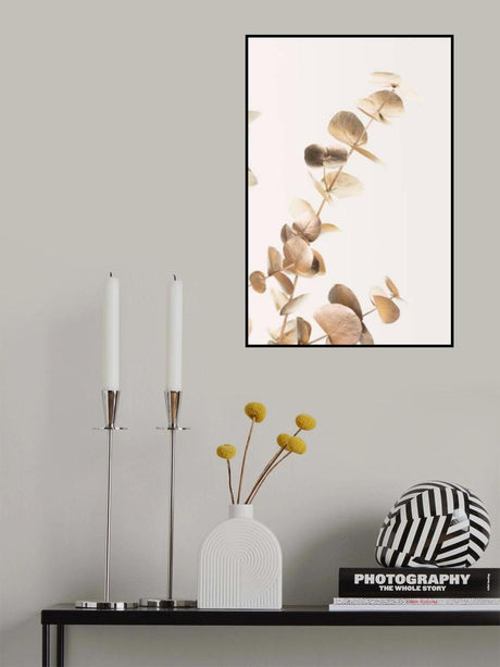 Eucalyptus Gold No 03 Poster och Canvastavla