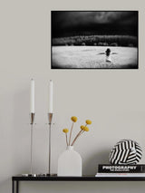 Poster och Canvastavla