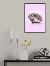 Curvy Hedgehog Poster och Canvastavla