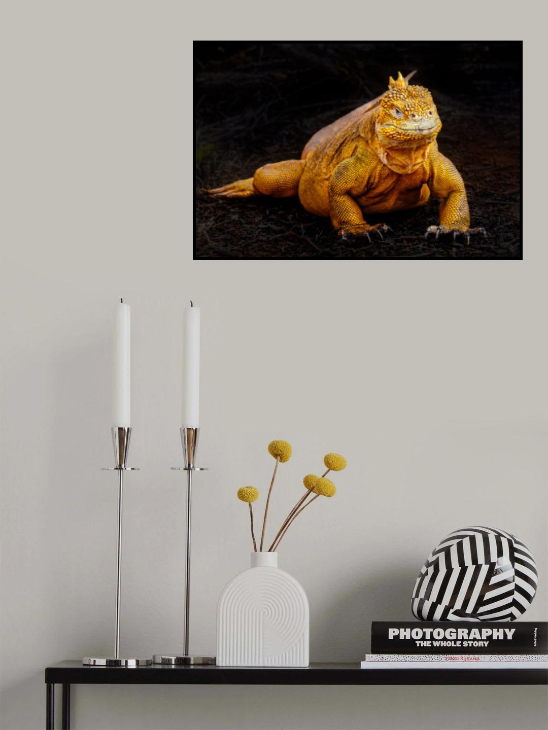 Iguana Poster och Canvastavla