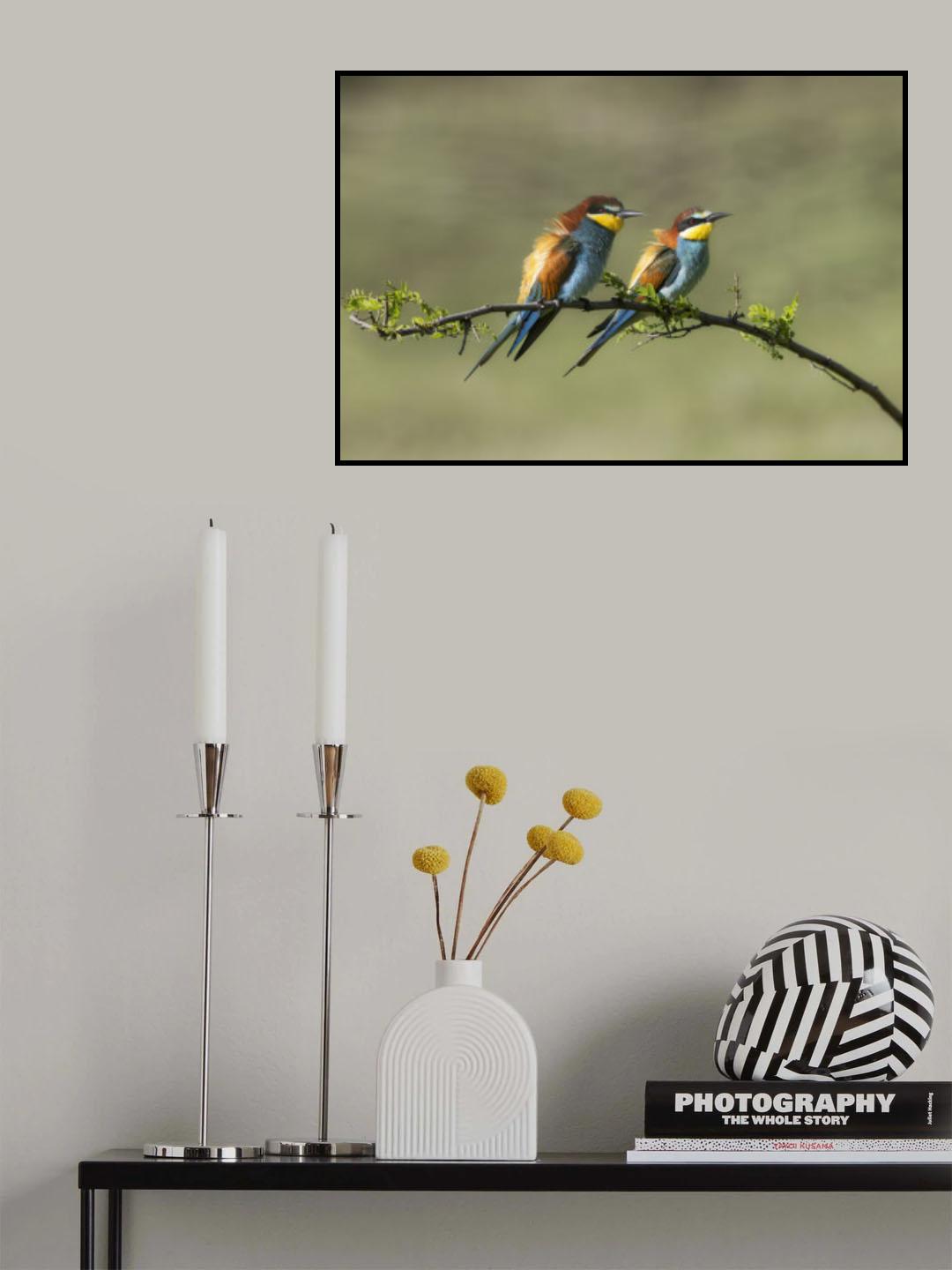 colori Poster och Canvastavla