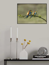 colori Poster och Canvastavla