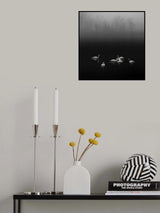 Swan lake foggy morning Poster och Canvastavla