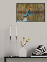 Flying over water Poster och Canvastavla