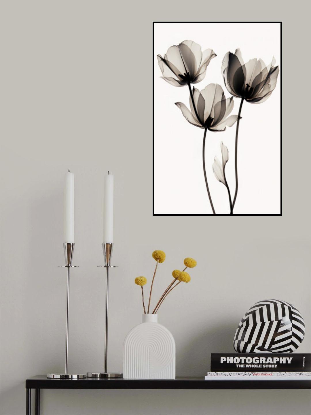 Black Tulips 2 Poster och Canvastavla