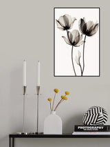 Black Tulips 2 Poster och Canvastavla