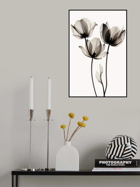 Black Tulips 2 Poster och Canvastavla