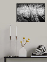 Poster och Canvastavla