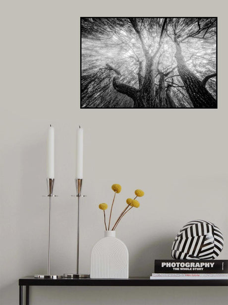 Poster och Canvastavla