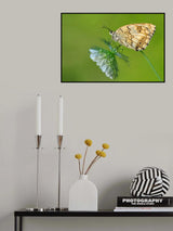Angel Poster och Canvastavla